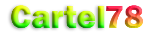 WebsiteLogo